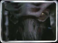 species 8472
