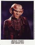 Quark